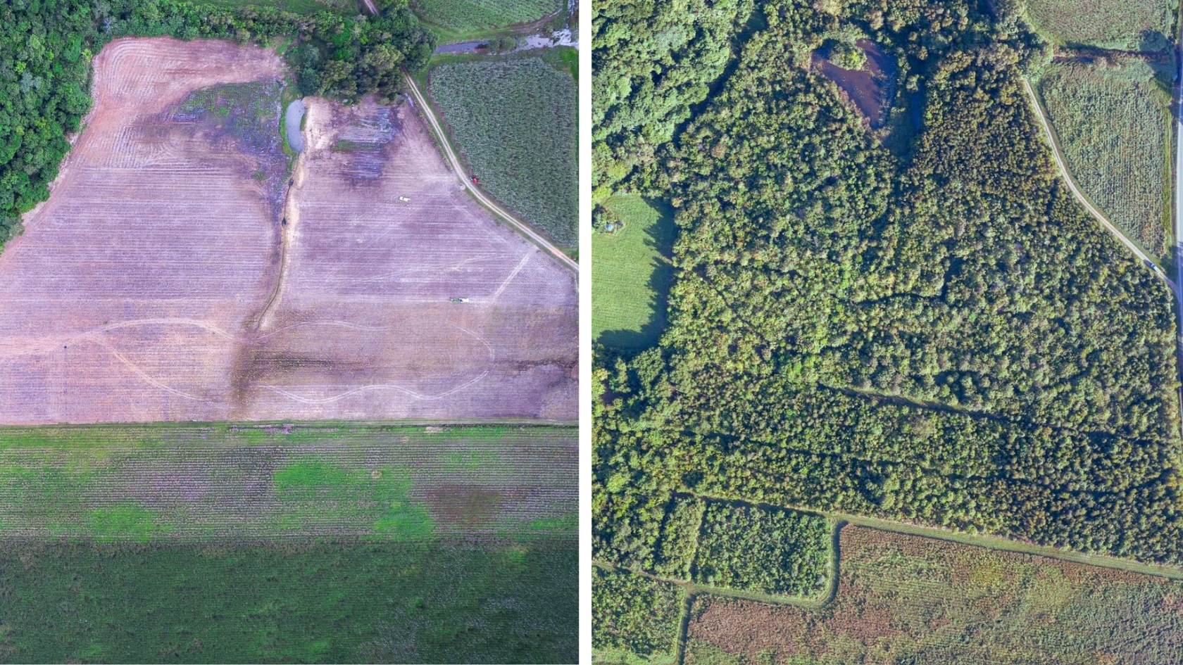 NightWings Aerial Photo 2016 vs 2022. Image Credit: Rainforest Rescue.