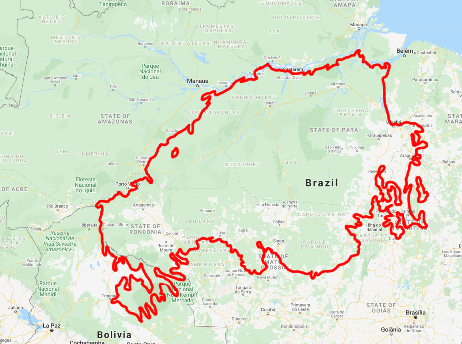 Outline of the Southern Amazonian Forests bioregion.