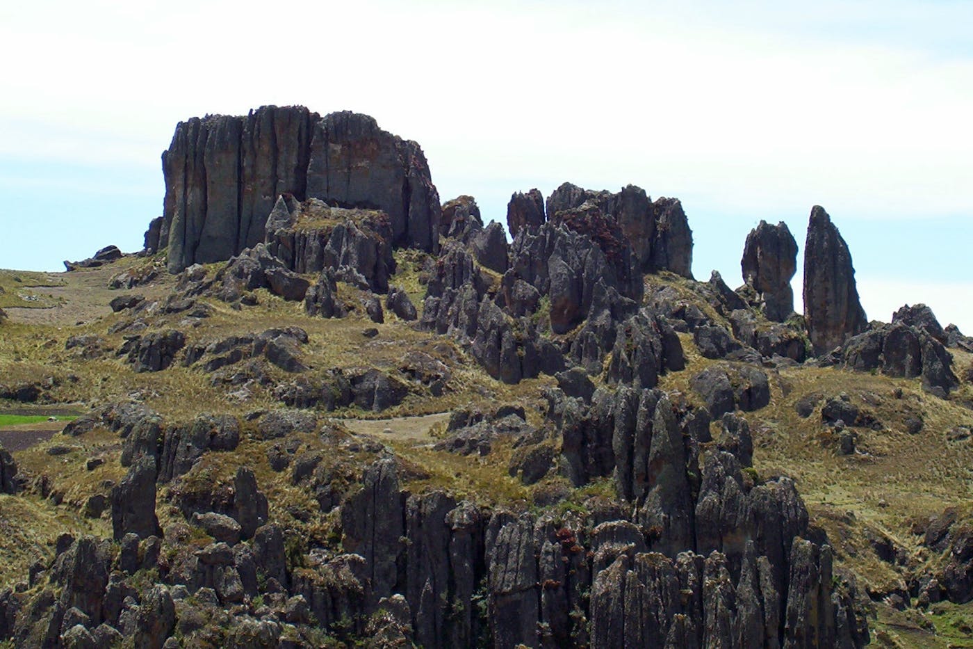 Andean Mountain Forests & Valleys (NT11)