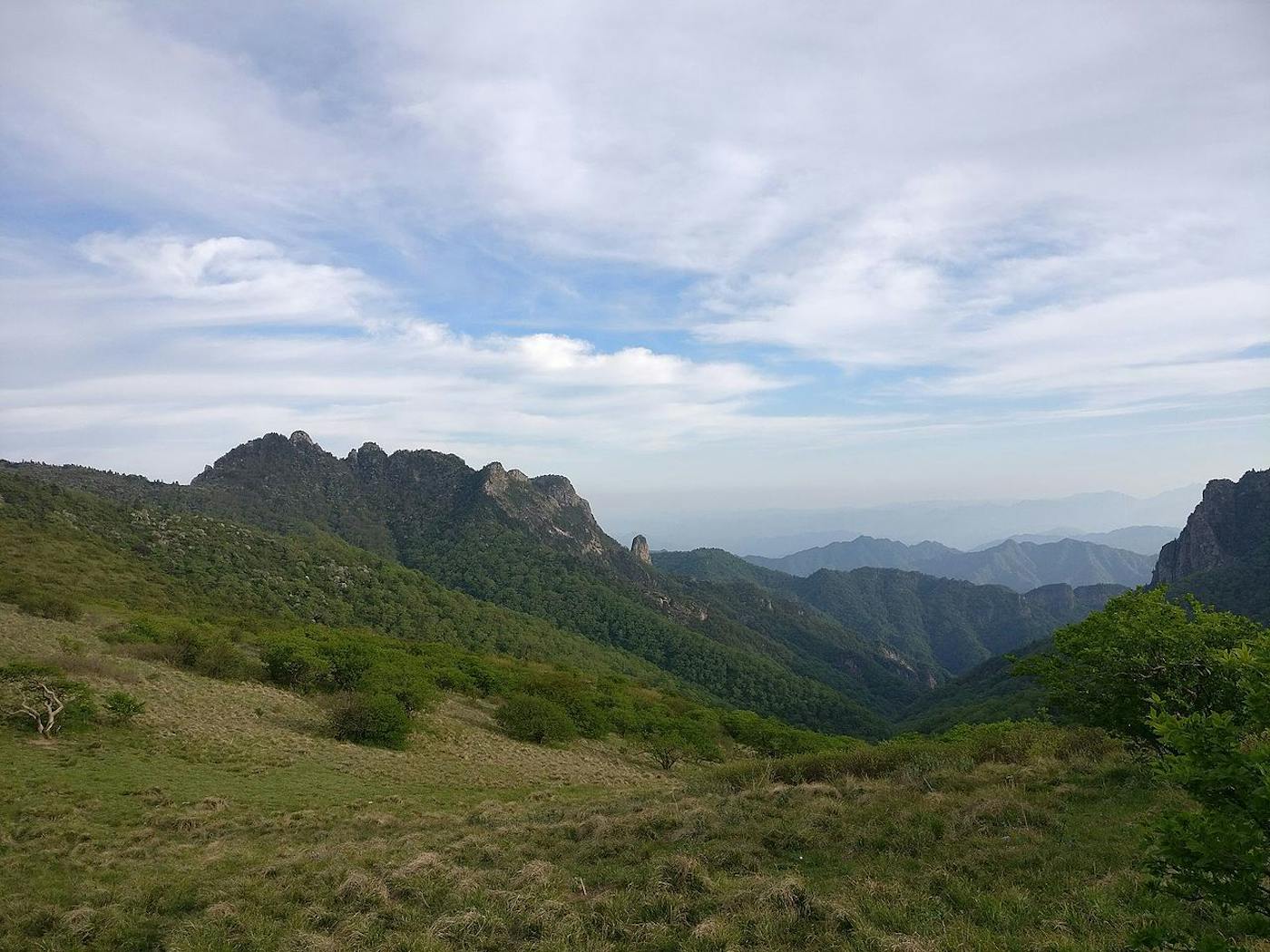 Manchuria-Ussuri Mixed Forests & Meadow Steppes (PA46)