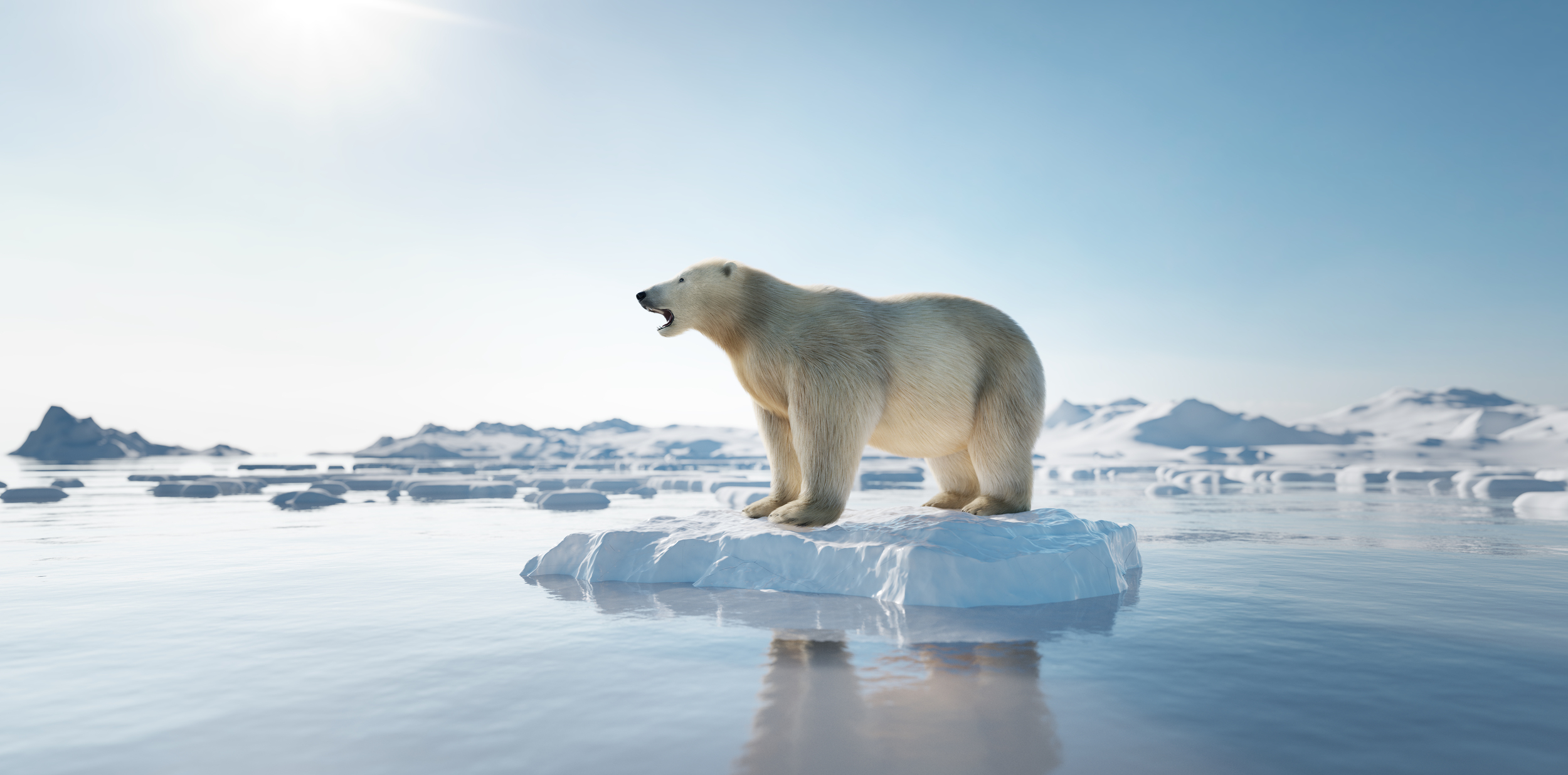 The polar bear has become a symbol for the climate crisis as sea ice melts at a rapid rate due to global temperature increase. Image Credit: Photocreo, Envato Elements.