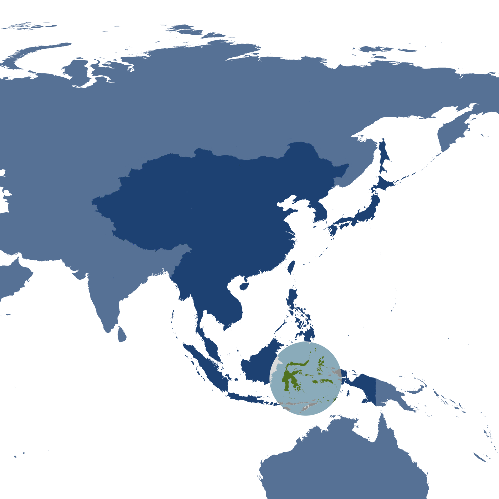 The babirusa is the iconic species of the Sulawesi & Maluku Islands bioregion (AU14), located in the Australasian Islands & Eastern Indonesia subrealm of Australasia. The babirusa is the iconic species of the Sulawesi & Maluku Islands bioregion (AU14), located in the Australasian Islands & Eastern Indonesia subrealm of Australasia.
