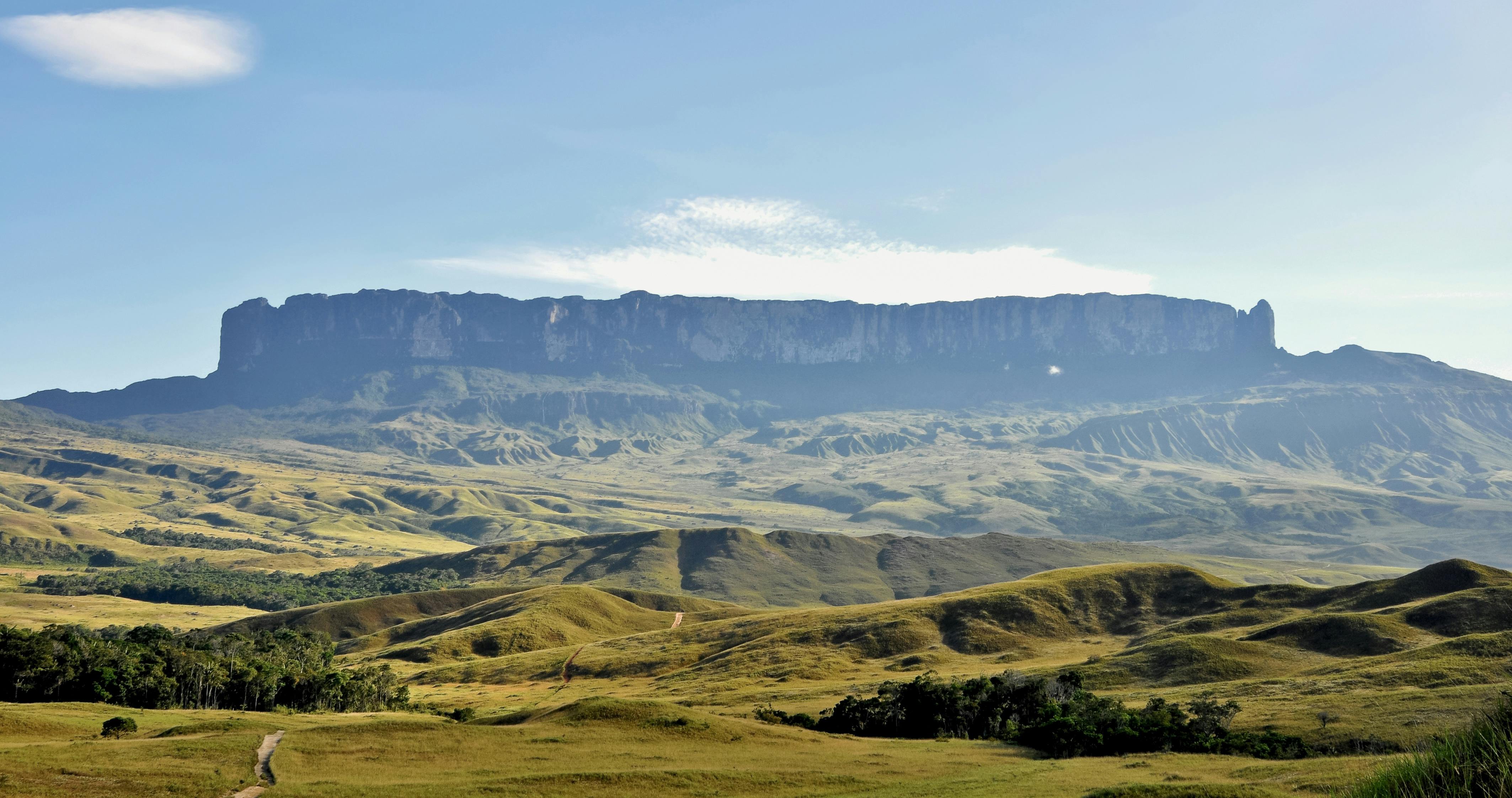 Guianan Savanna One Earth