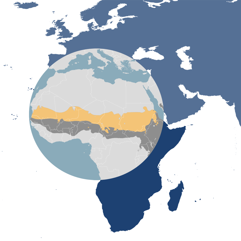 The Nile monitor is the iconic species of the Sahel Acacia Savannas bioregion (AT23), located in the Sub-Saharan Afrotropics subrealm in the Afrotropics.