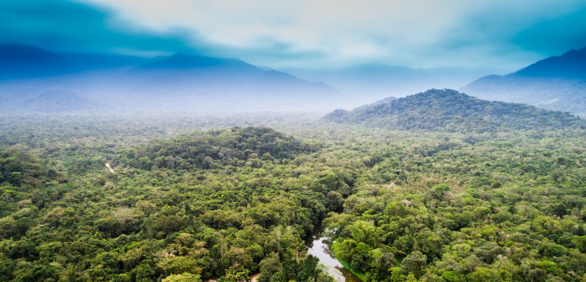 How cutting edge artificial intelligence is teaching youth about Amazon deforestation