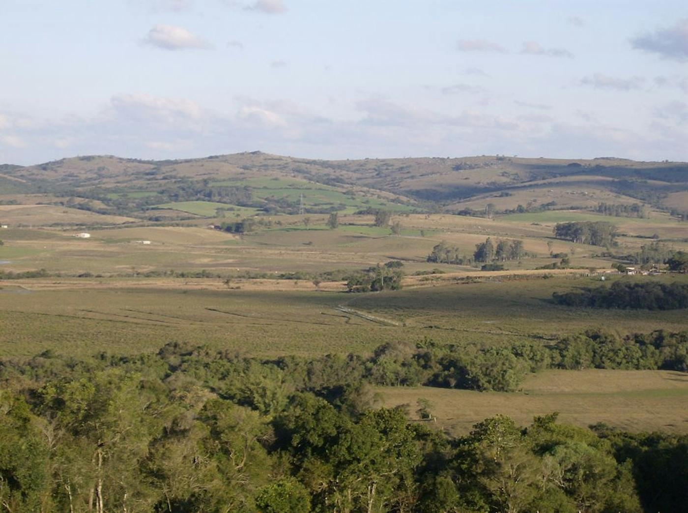 Rio de la Plata Grasslands (NT3)