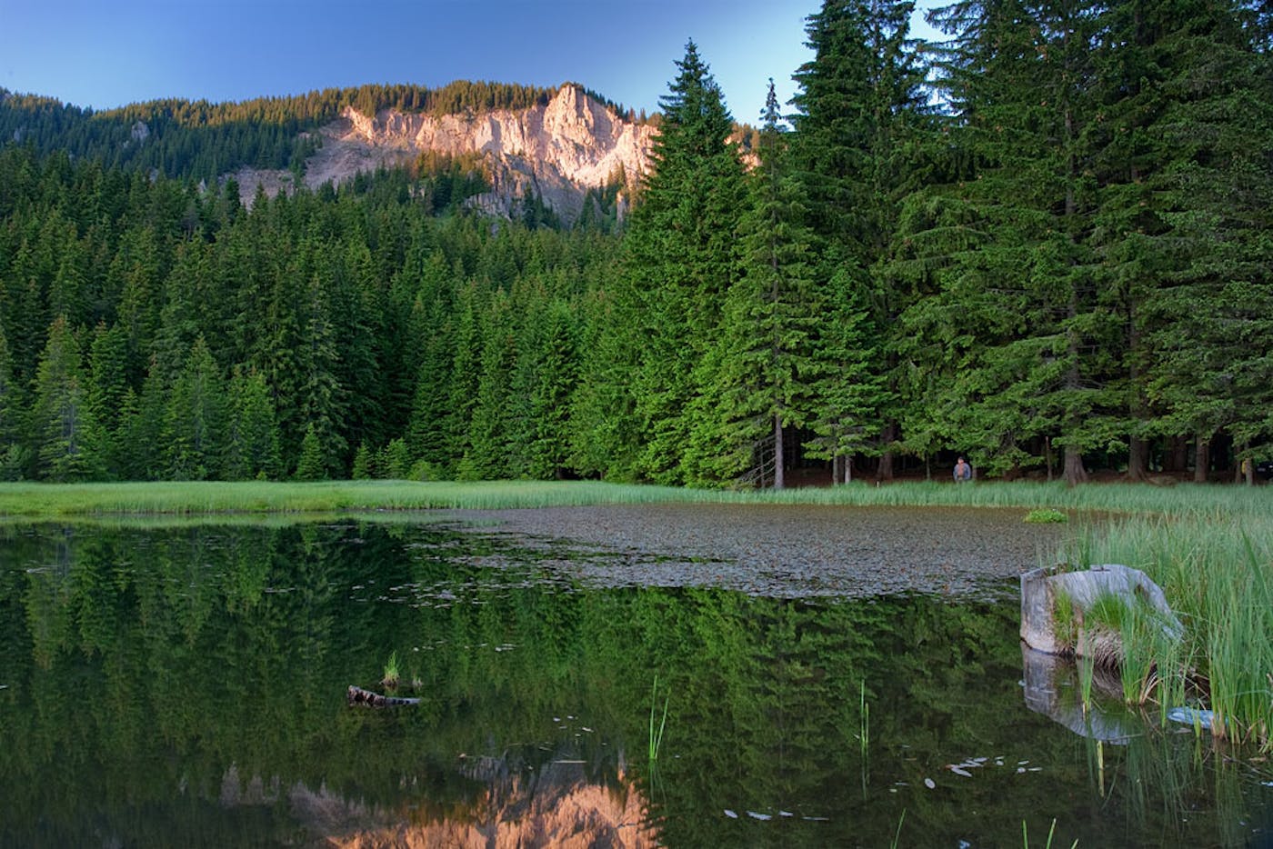 Dinaric Mountains & Balkan Mixed Forests (PA15)