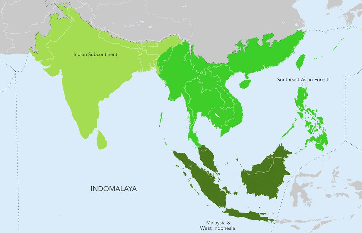 Indomalaya