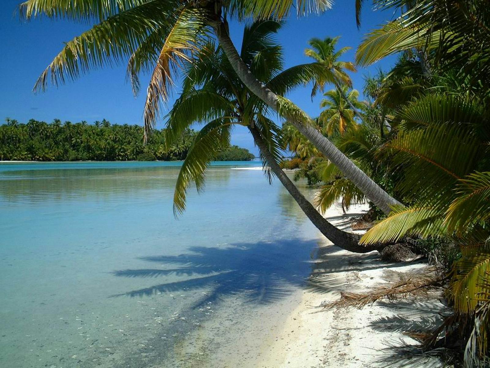 Cook Islands Tropical Moist Forests