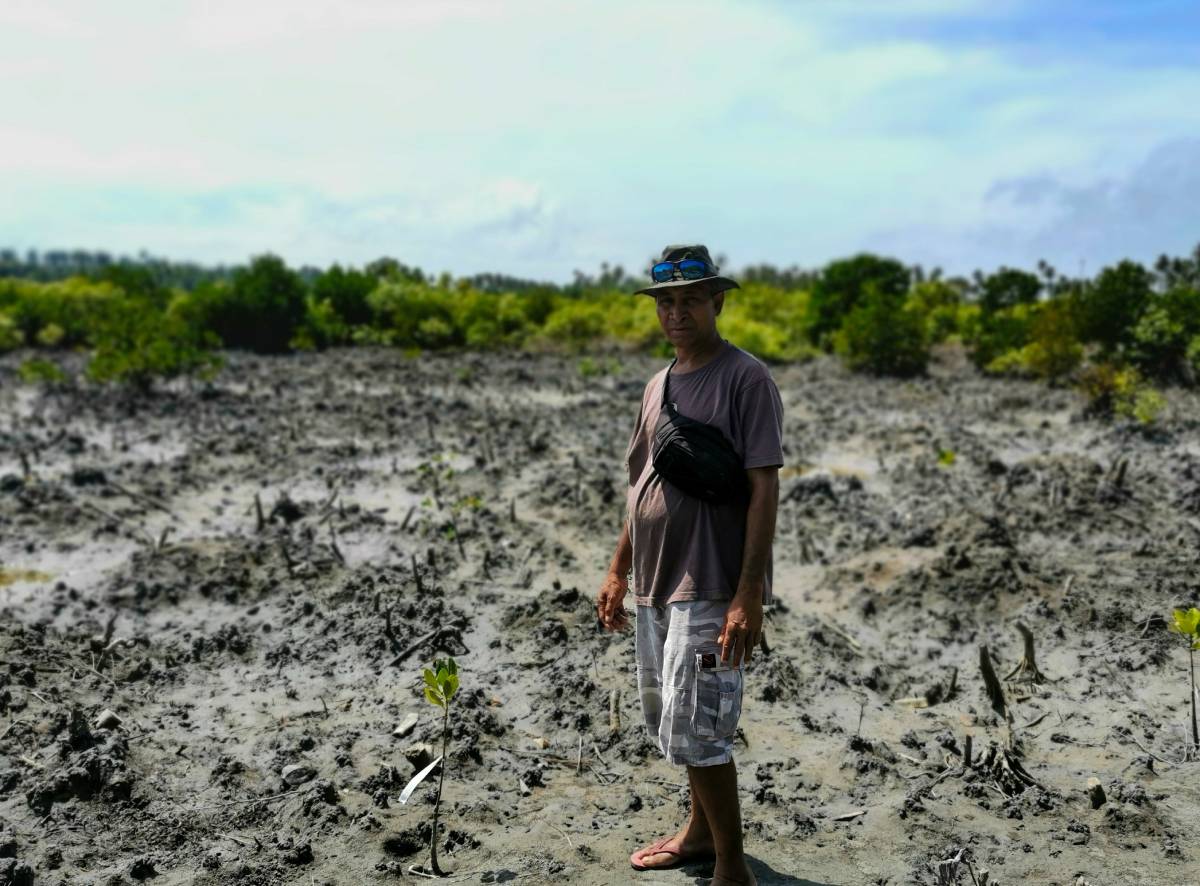Carlos Kalo Alu standing where most of the mangroves have been depleted. This is one of the sites where the mangroves were planted by volunteers. Image credit: Courtesy of Lillian Kenequa