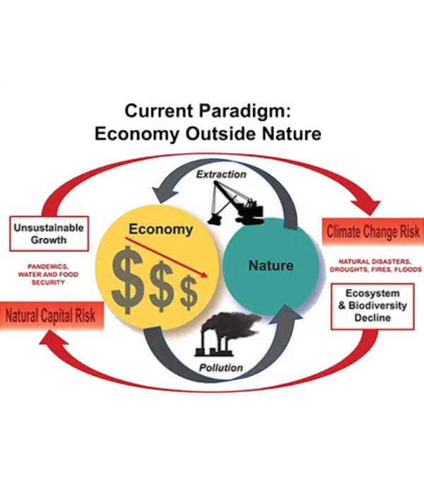 Toward a Nature-Based Economy