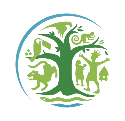 Amazonia for life 80% by 2025