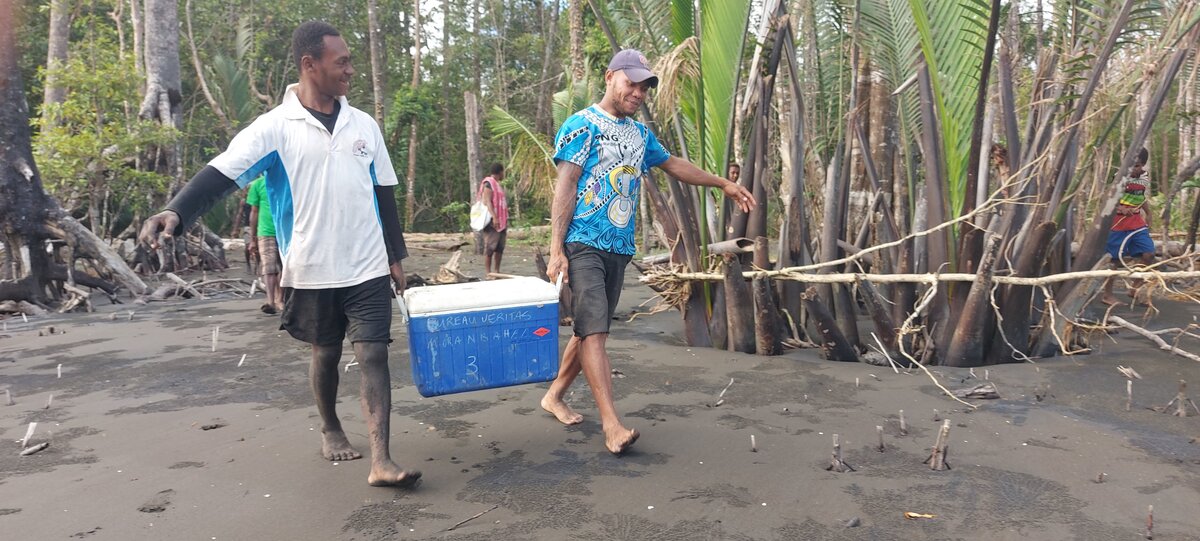 Kikori Turtle Rangers locating nests and relocating them to safety tubs. Image credit: Courtesy of Joyce Mavere, Kikori Turtle Rangers