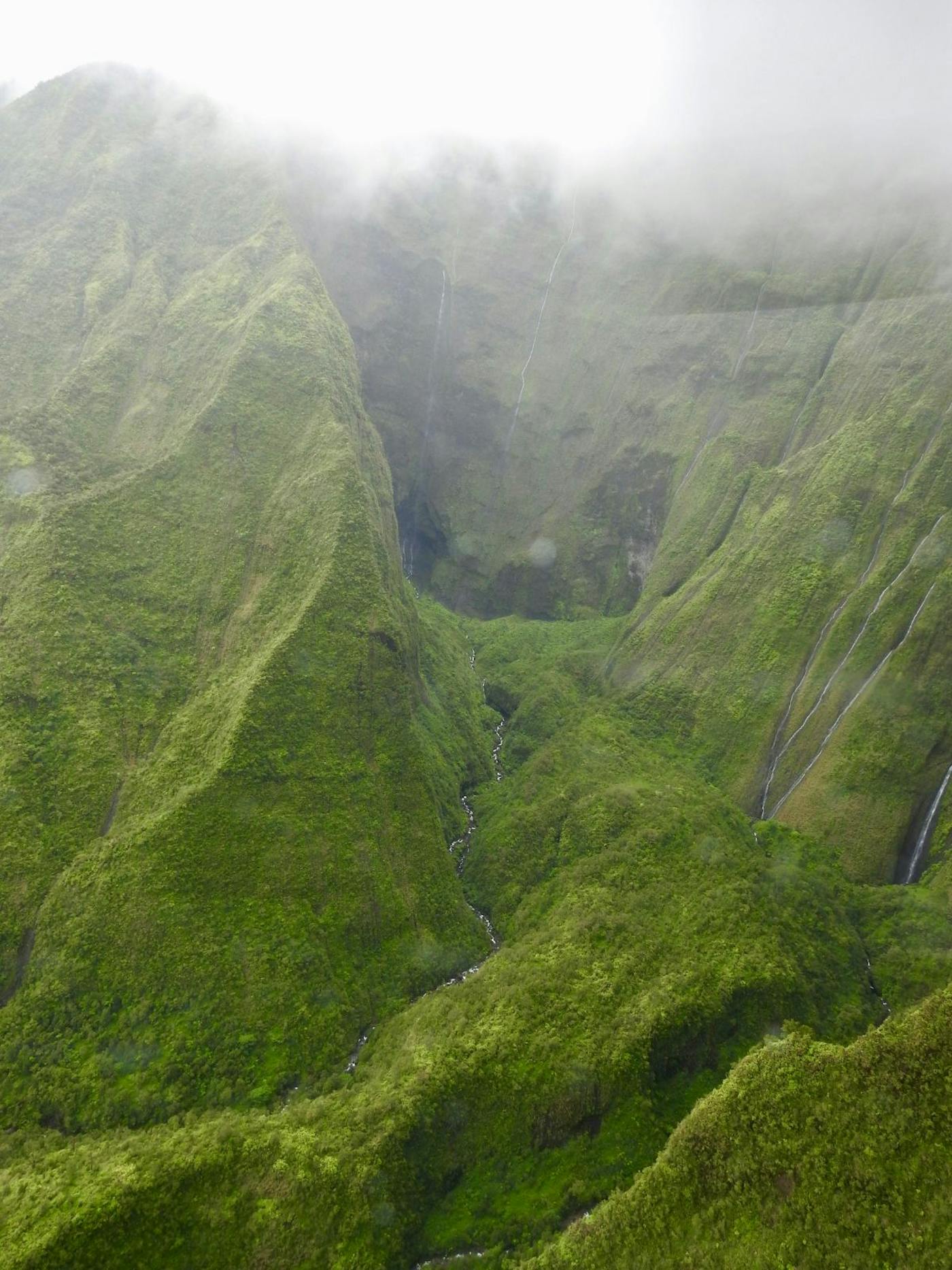 Hawai’i Tropical Islands (OC11)