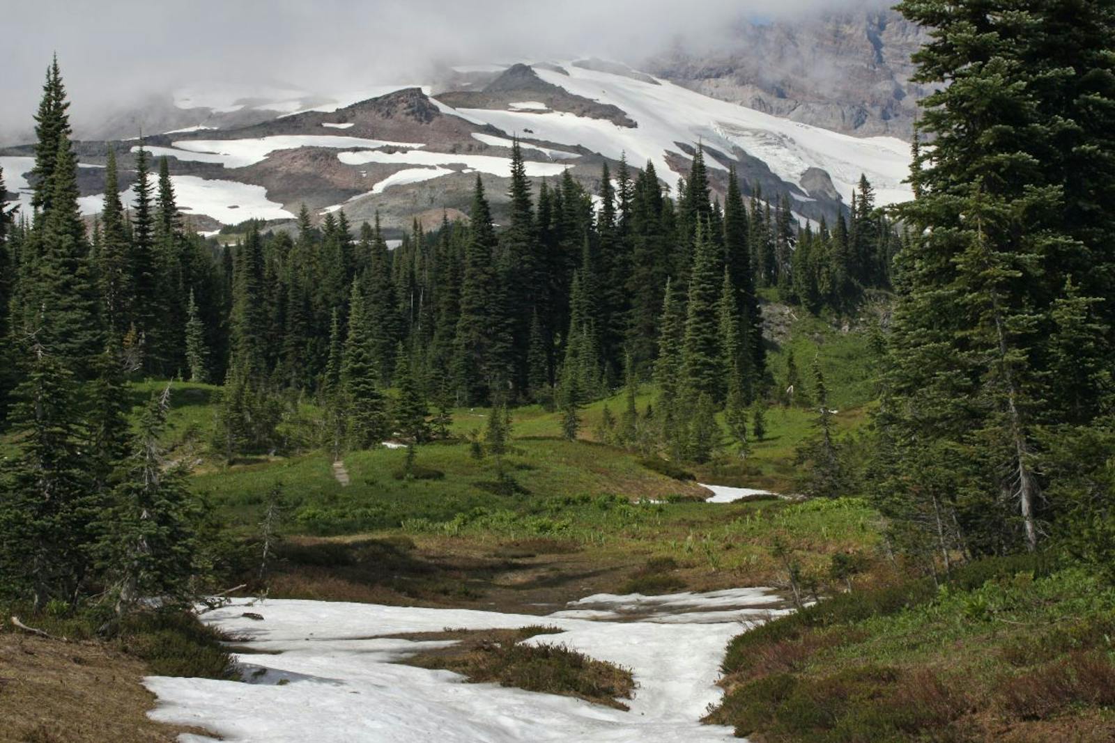 Central-Southern Cascades Forests