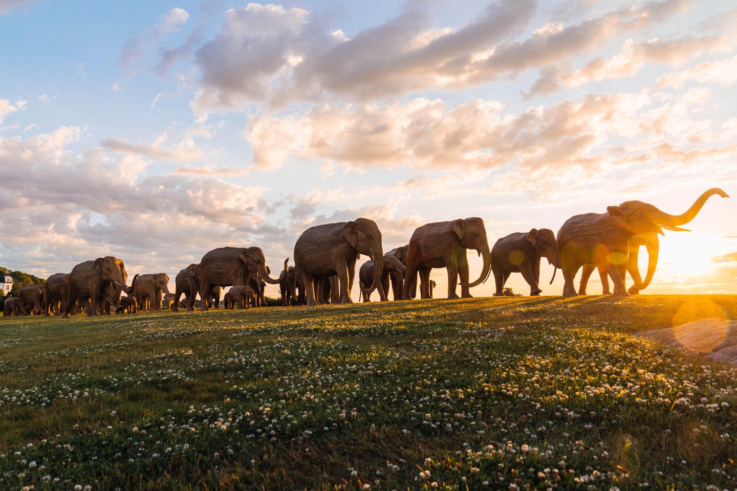 The Great Elephant Migration: A moving celebration of coexistence and conservation