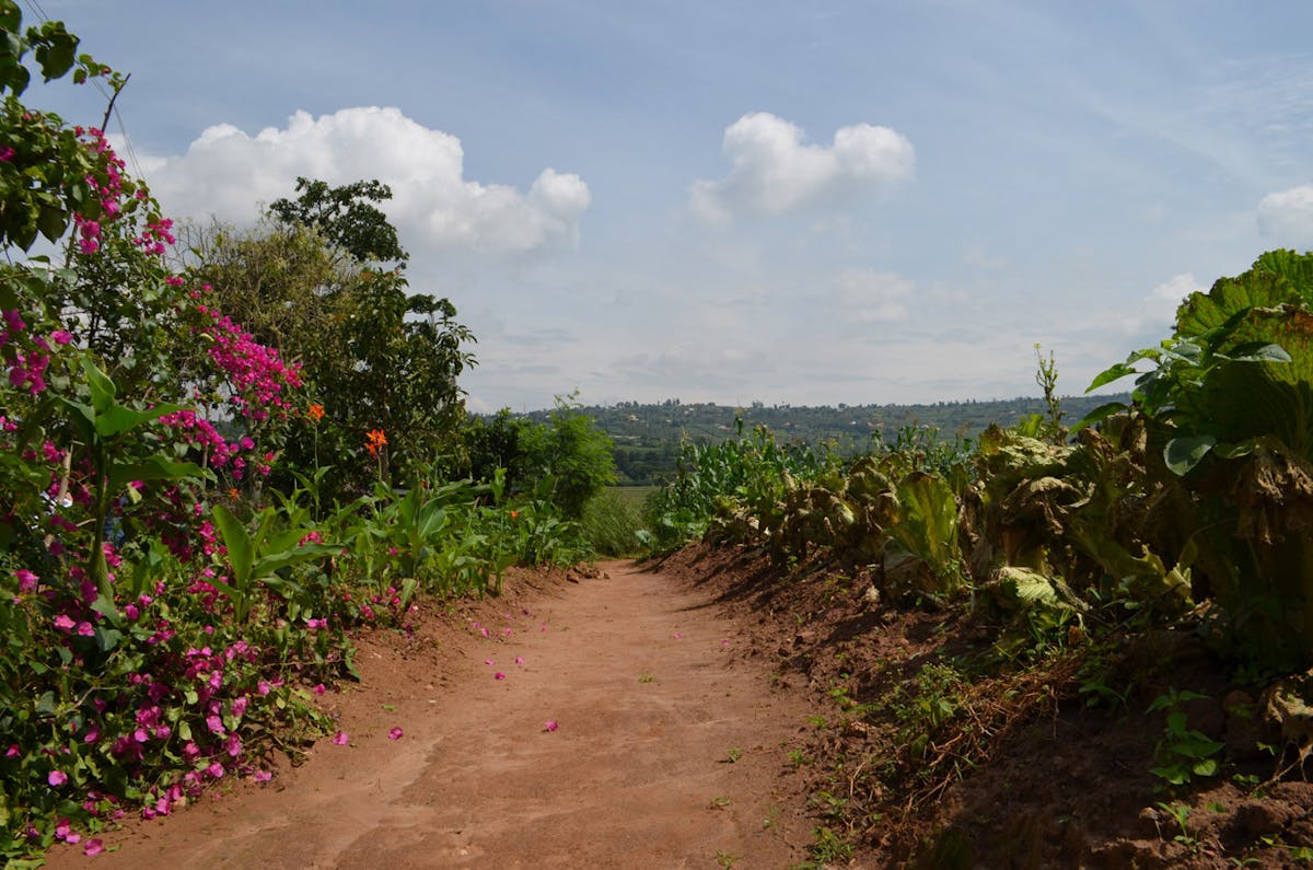 This farm outside Rwanda’s capital teaches women farmers how to mitigate climate change