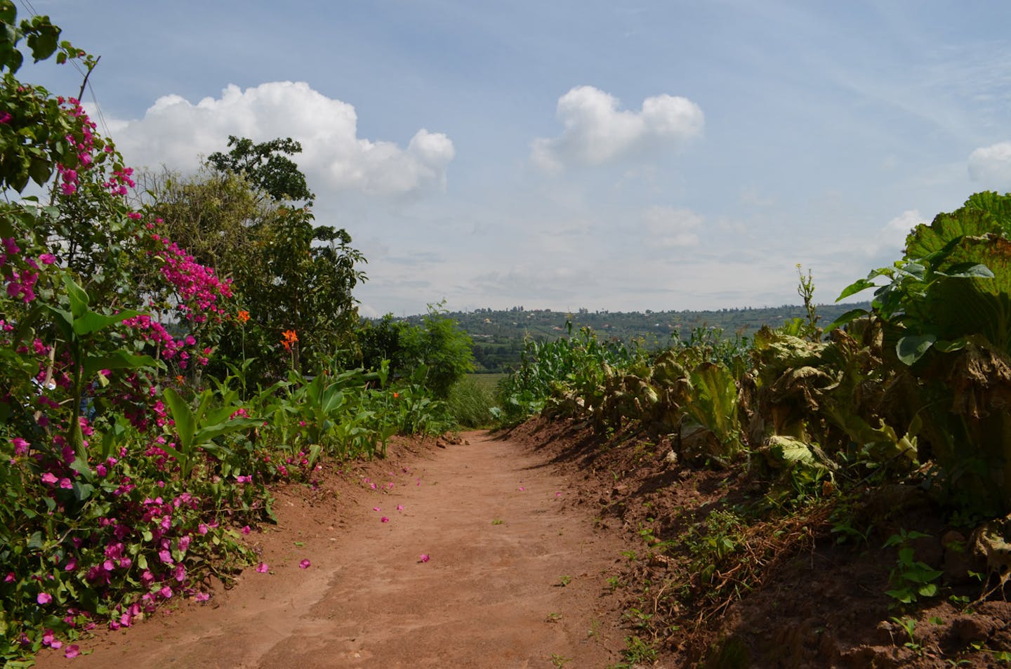 This farm outside Rwanda’s capital teaches women farmers how to mitigate climate change