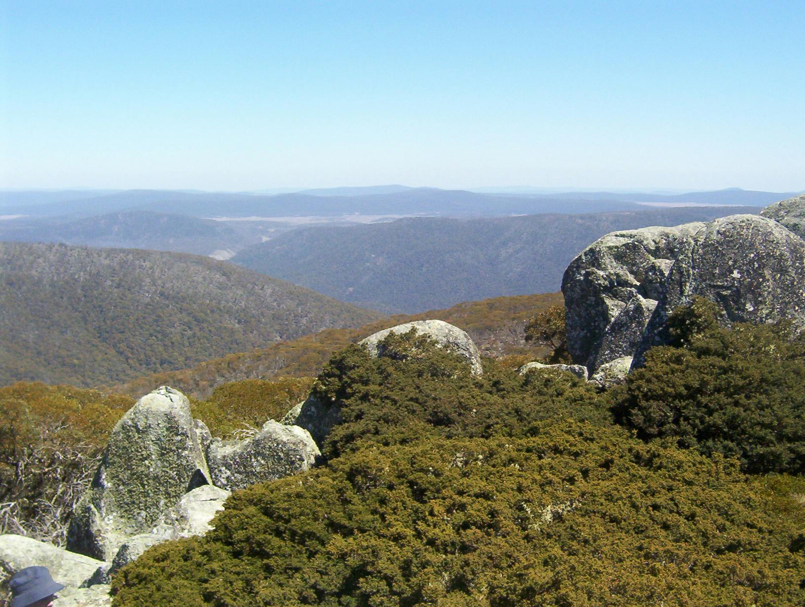 Australian Alps Montane Grasslands One Earth