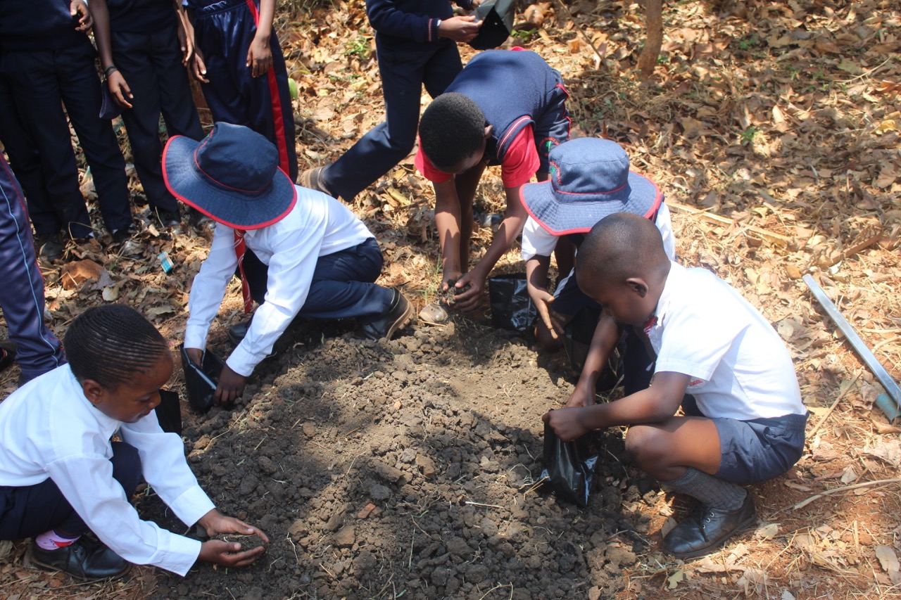 indigenous tree nursery establishment at a pre school. Image credit Courtesy of Research and Education for Sustainable Actions.