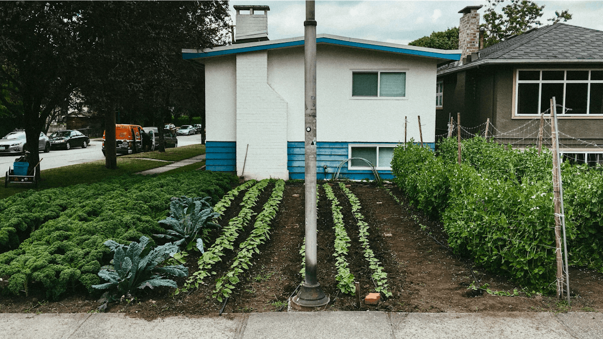Building community food security in the middle of Vancouver