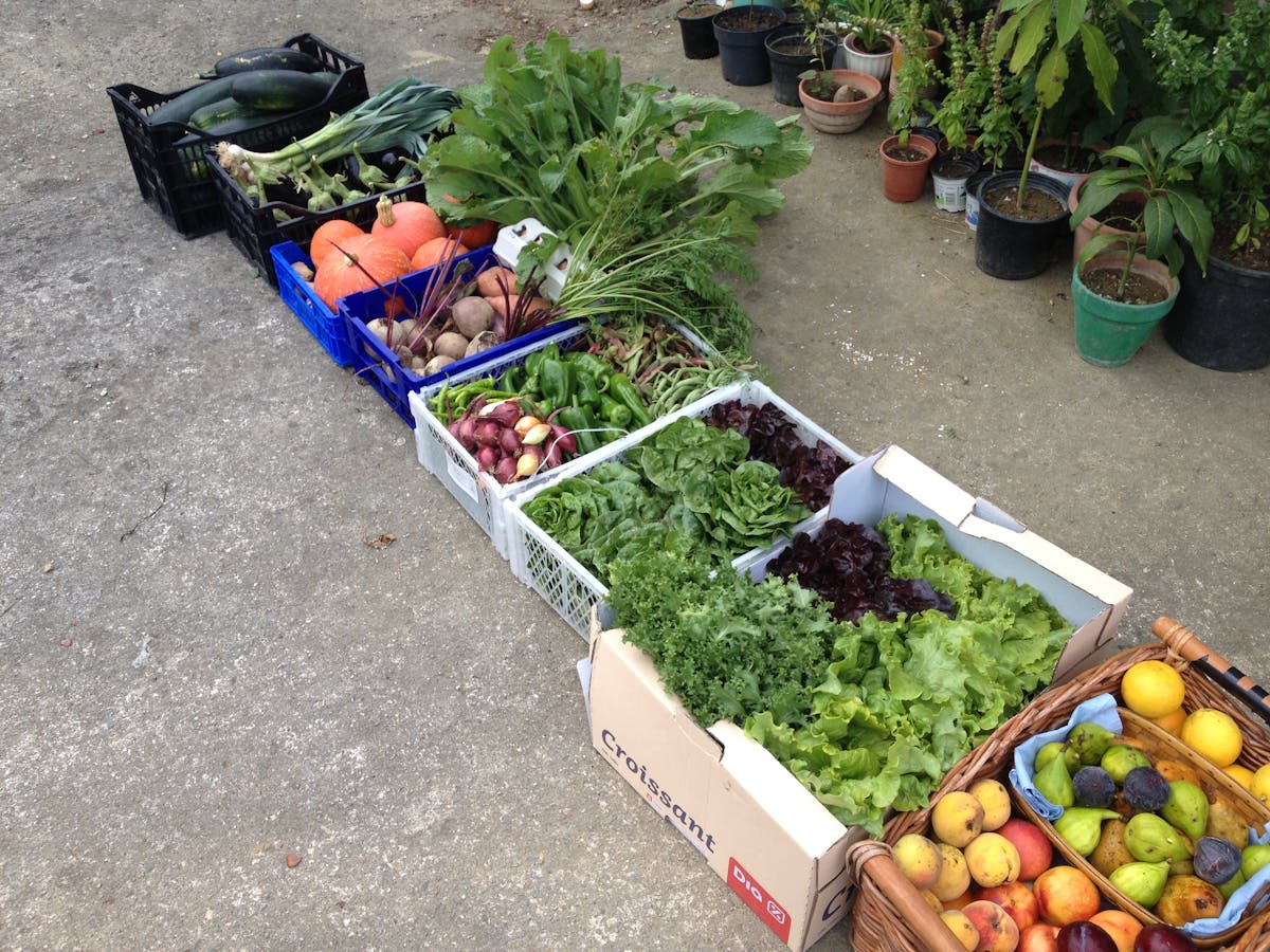 Living off the land in Spain — a rising trend