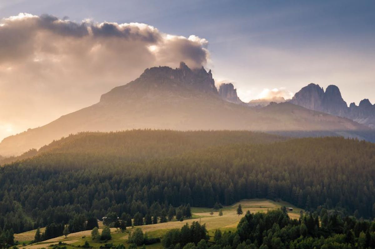 European Mountain Forests