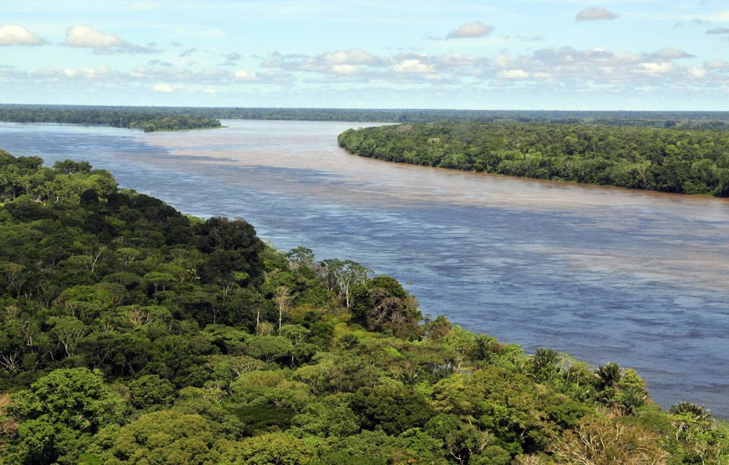 New campaign to protect 80% of the Amazonia by 2025