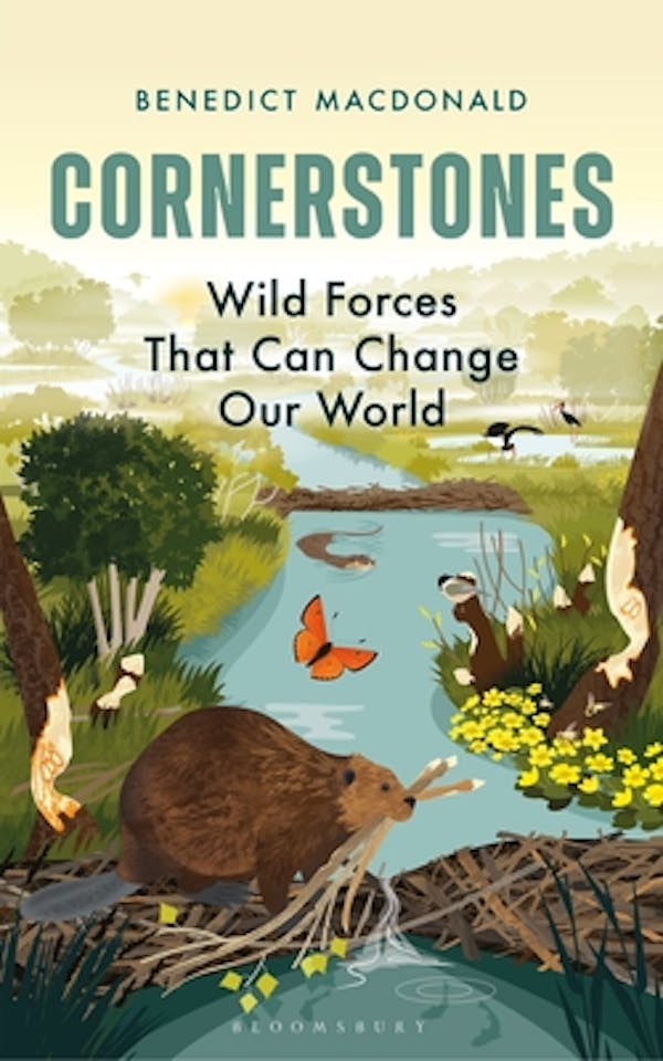 Cornerstones | Wild forces that can change our world