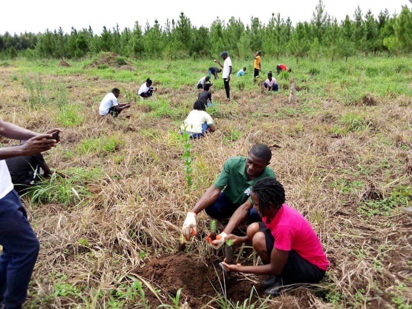 Ugandan farmers are responding to the climate crisis through ...