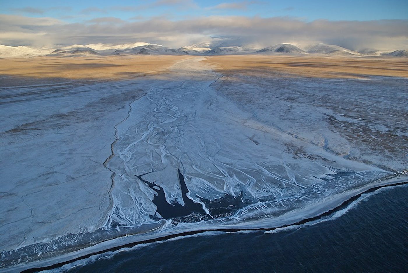 East Eurasian Coastal Tundra (PA5)