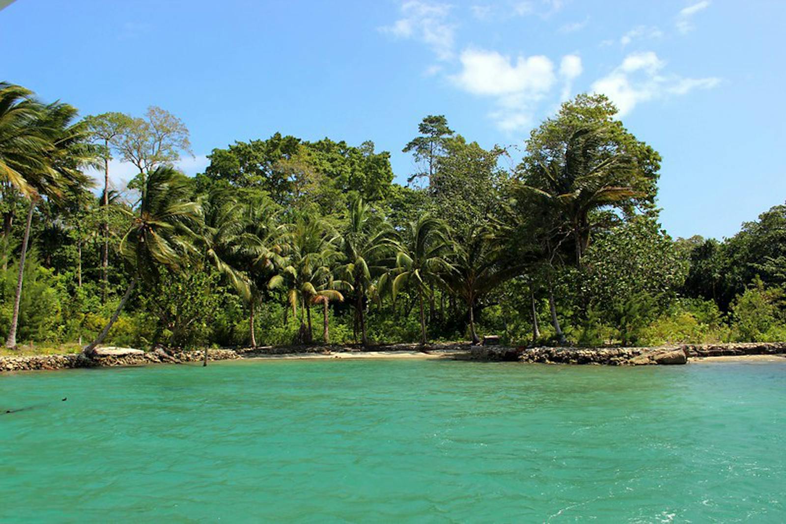 Solomon Islands Rainforests