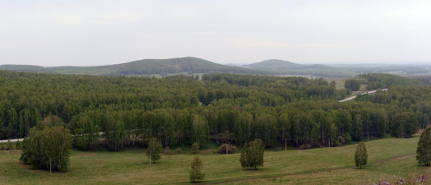 Siberian Hemiboreal Forests & Steppe (PA35)