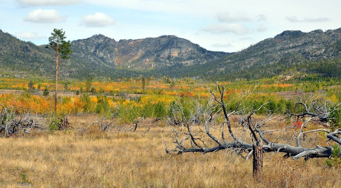 Kazakh Forest Steppe & Grasslands (PA34)