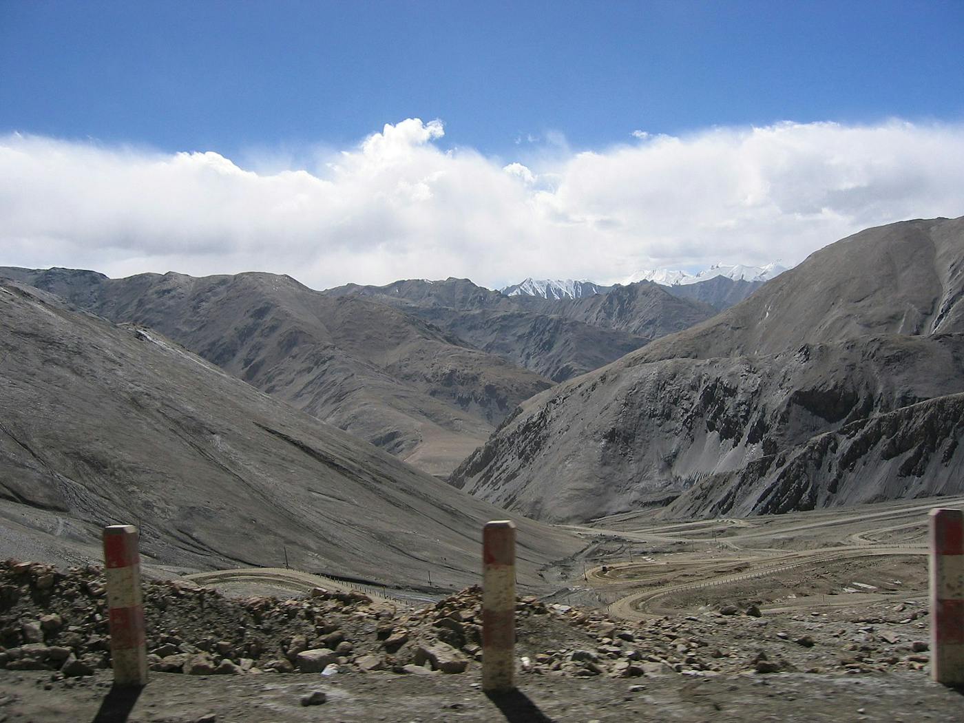 Greater Tibetan Plateau Alpine Meadows & Shrublands (PA40)