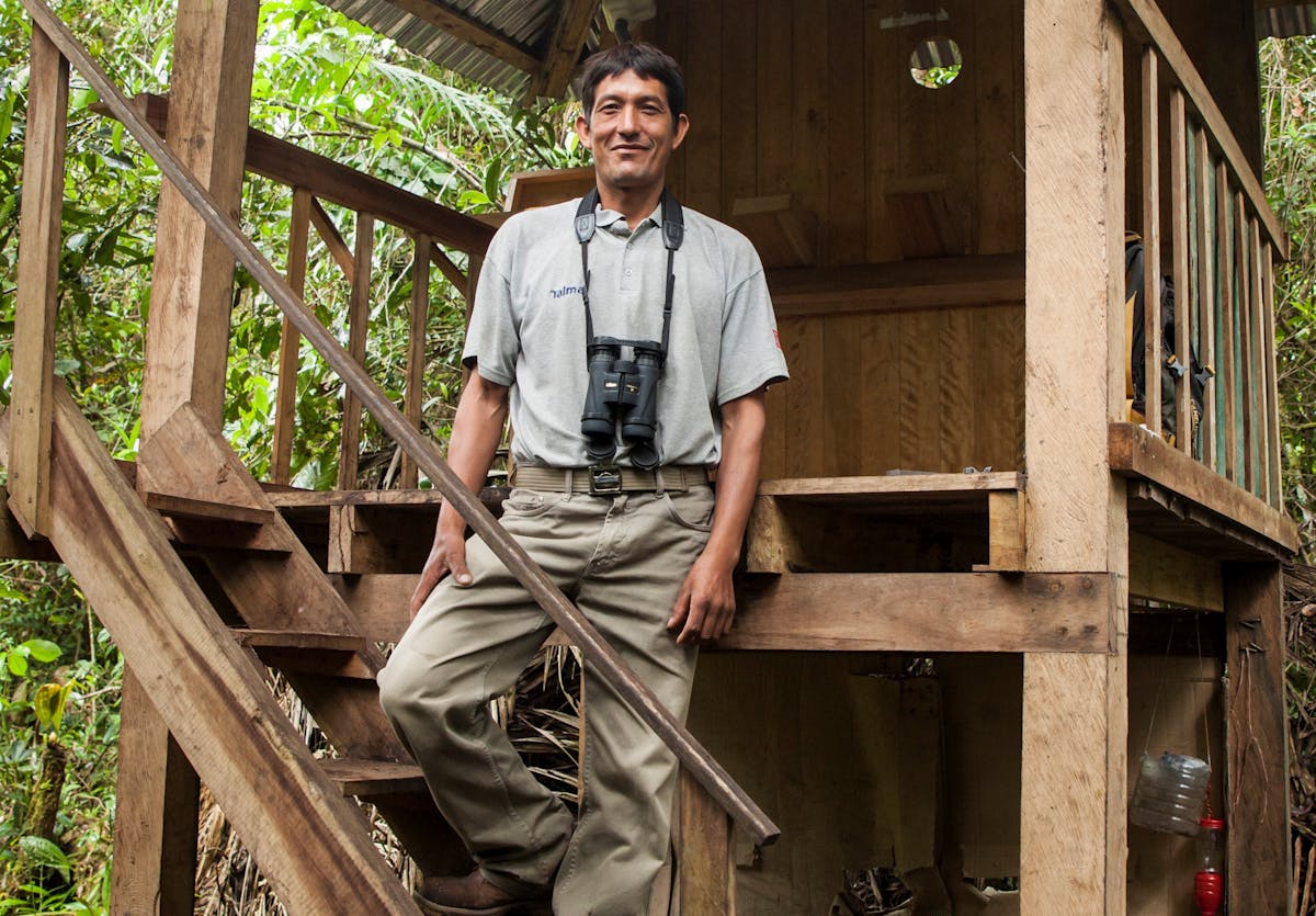 Un observatorio de aves salva de la deforestación a un área protegida en la Amazonía del Perú