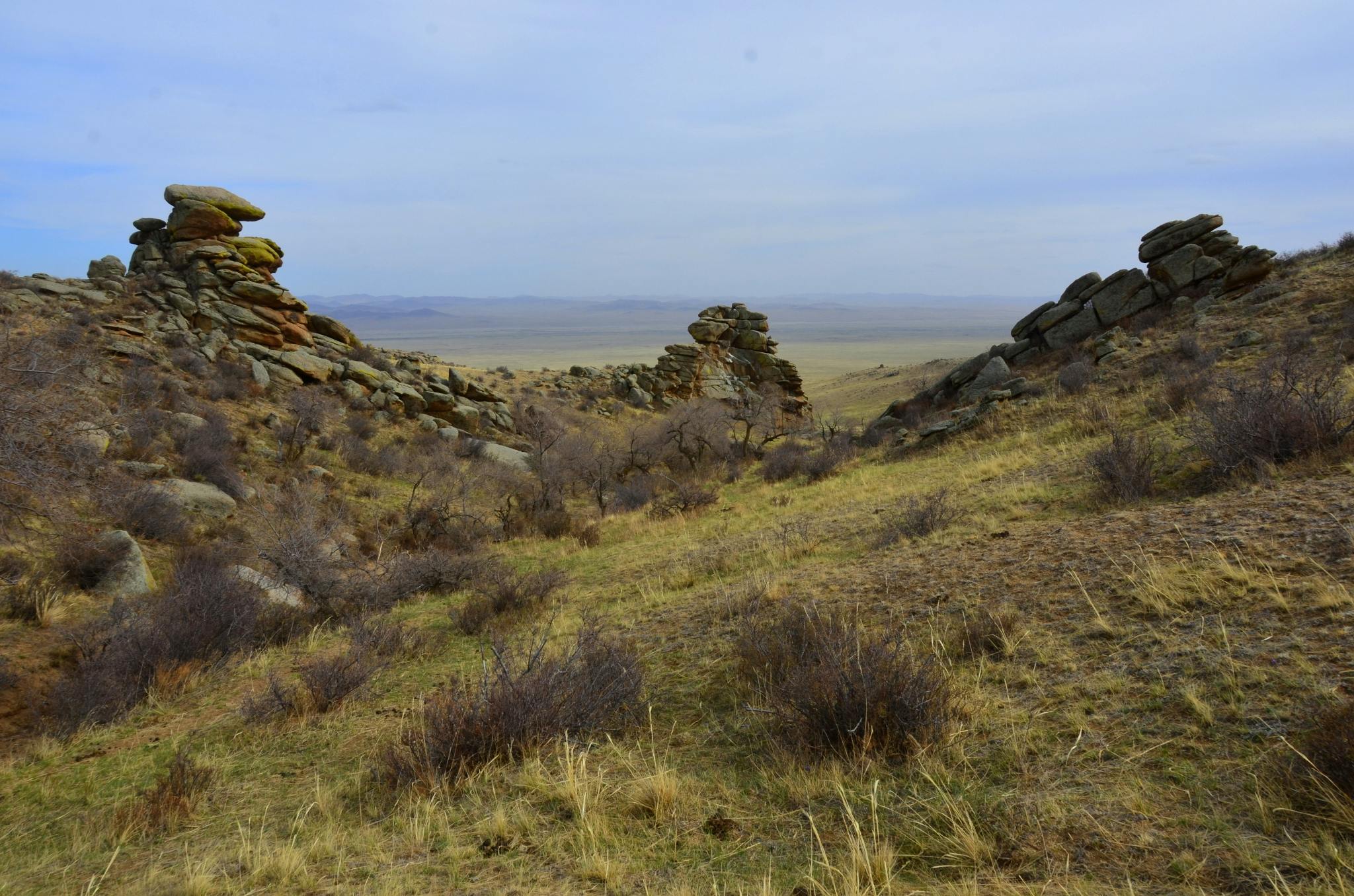 Eastern Gobi Desert Steppe | One Earth