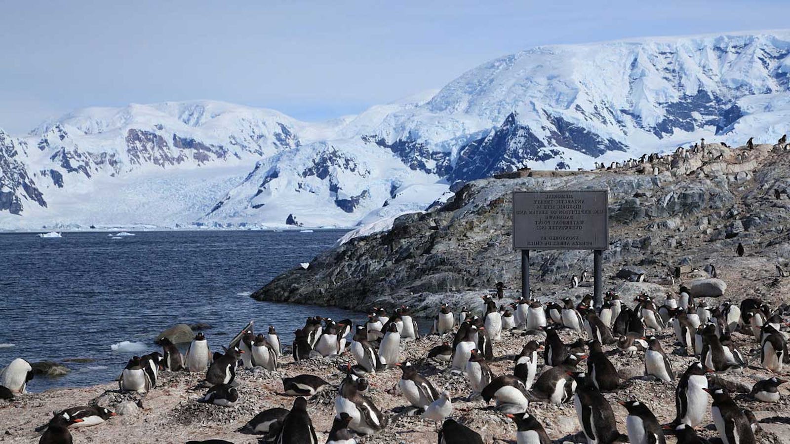 Northwest Antarctic Peninsula Tundra