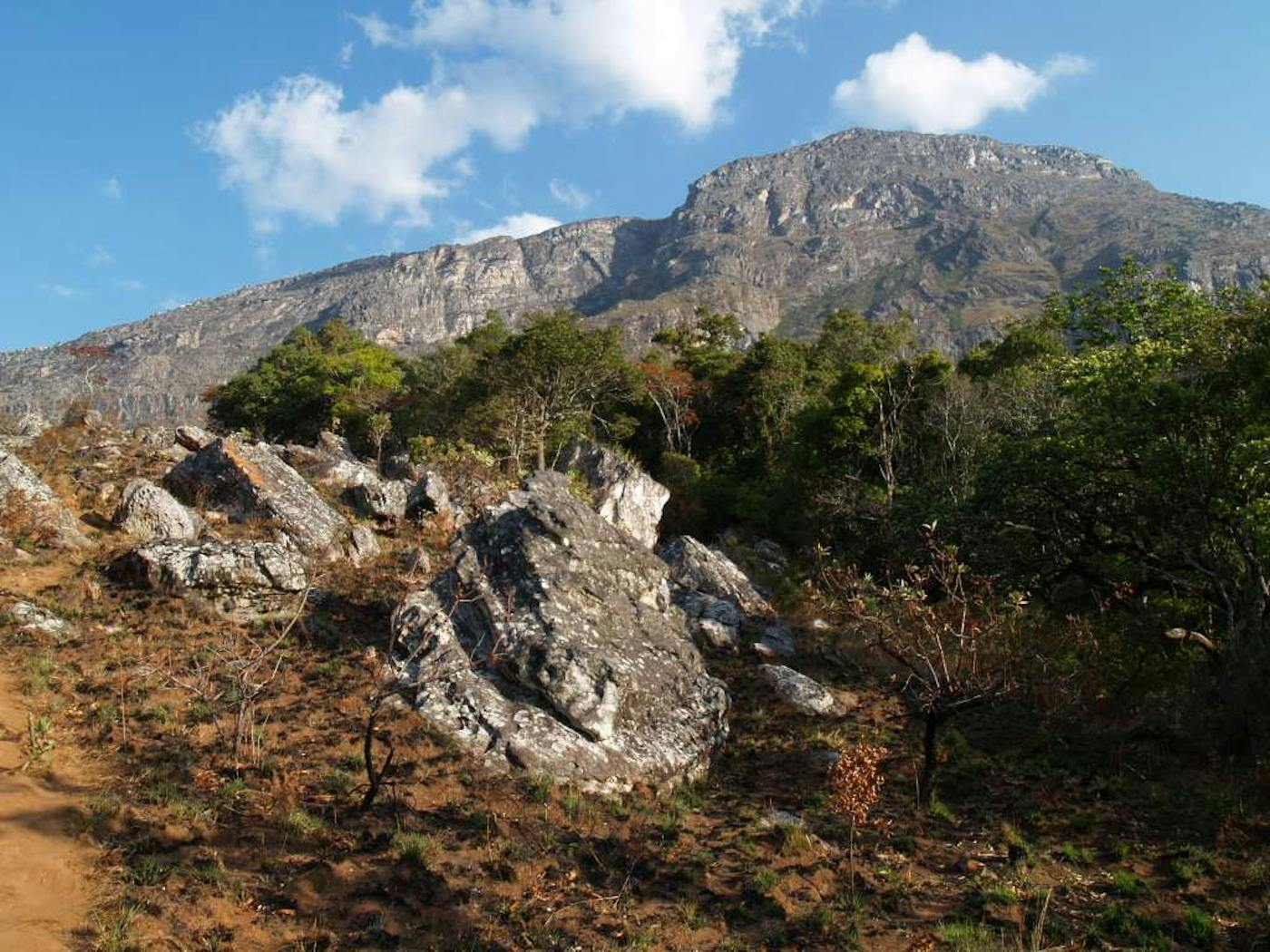 East African Coastal Forests (AT7)