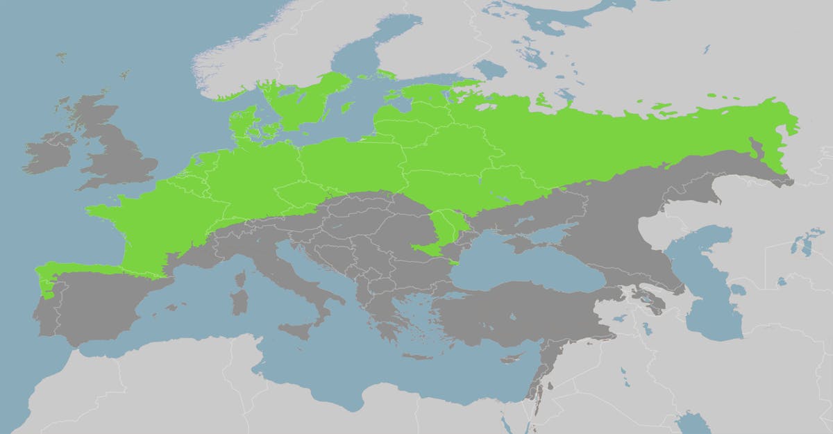 Greater European Forests