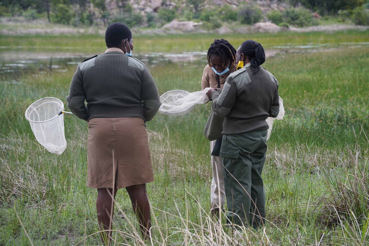 Research on the status and distribution of pollinators. Image credit: Courtesy of Research and Education for Sustainable Actions.jpeg