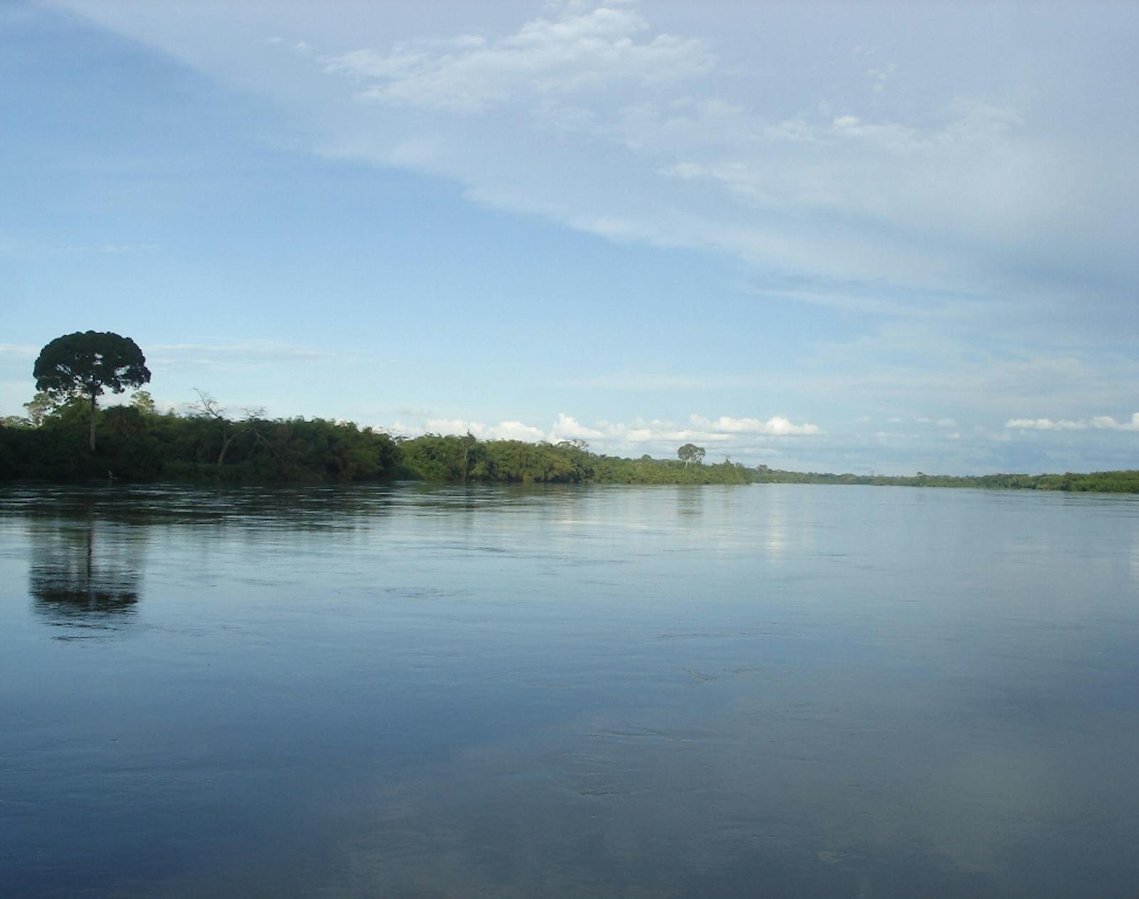 Western Congolian Swamp Forests