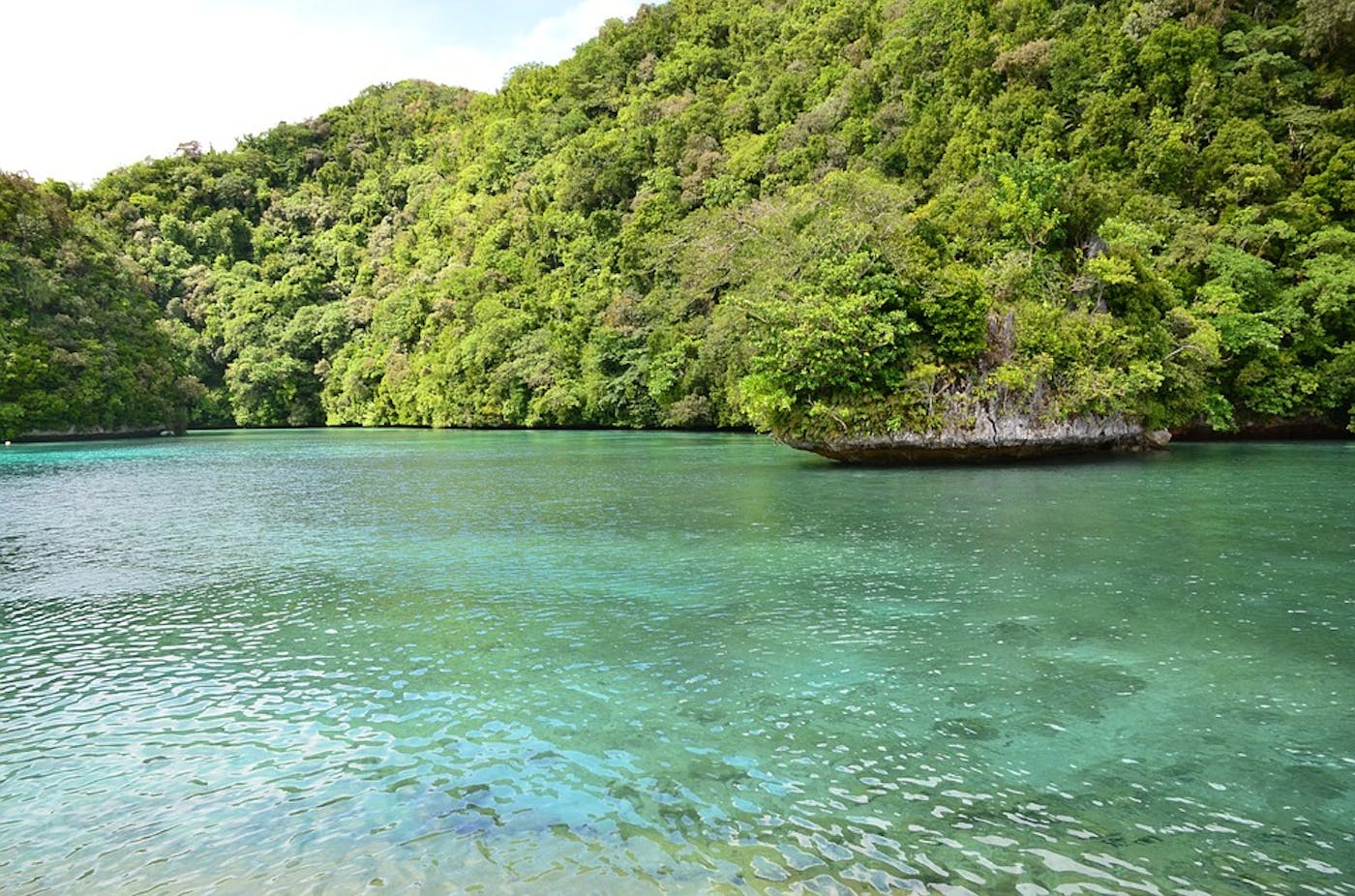 Palau & Caroline Tropical Islands (OC8)