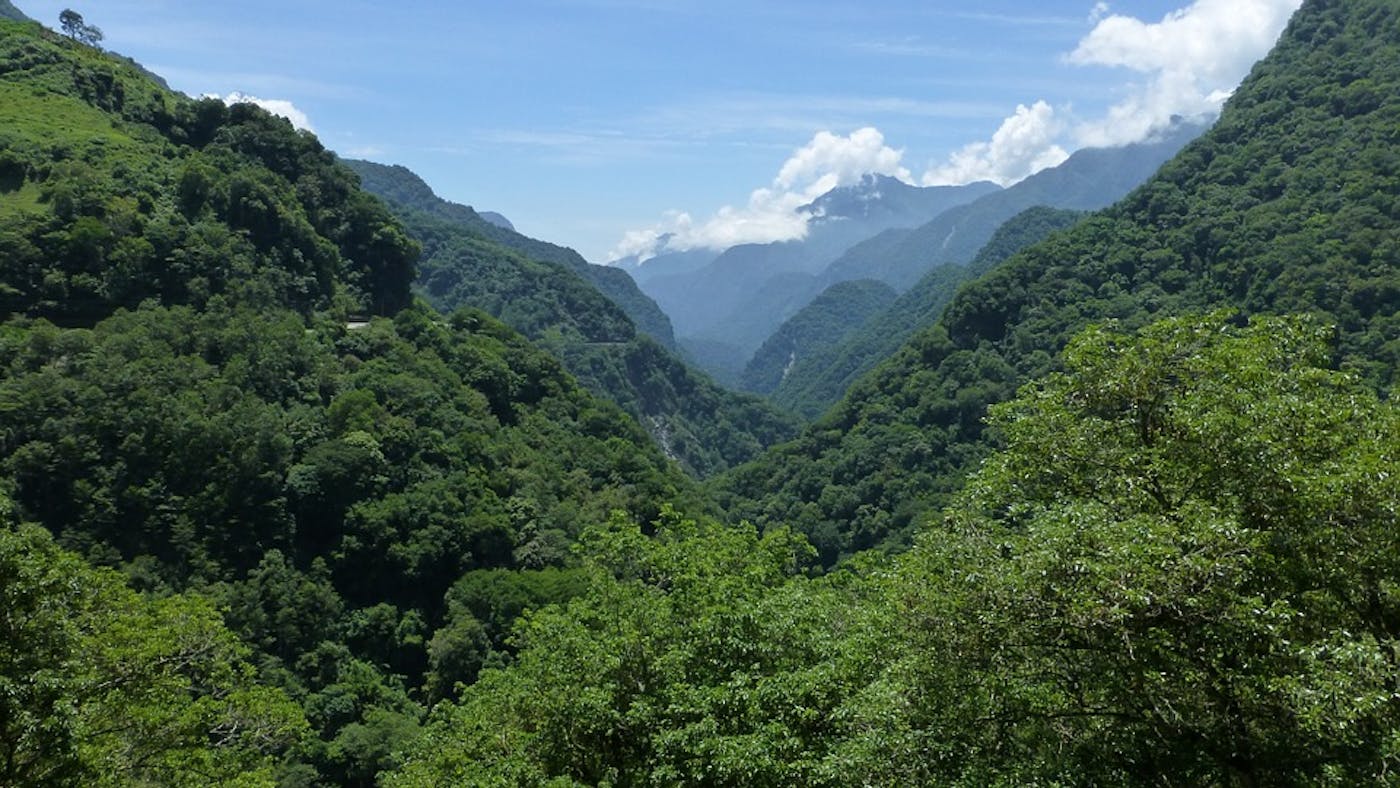 South China Subtropical Evergreen & Monsoon Forests (IM13)