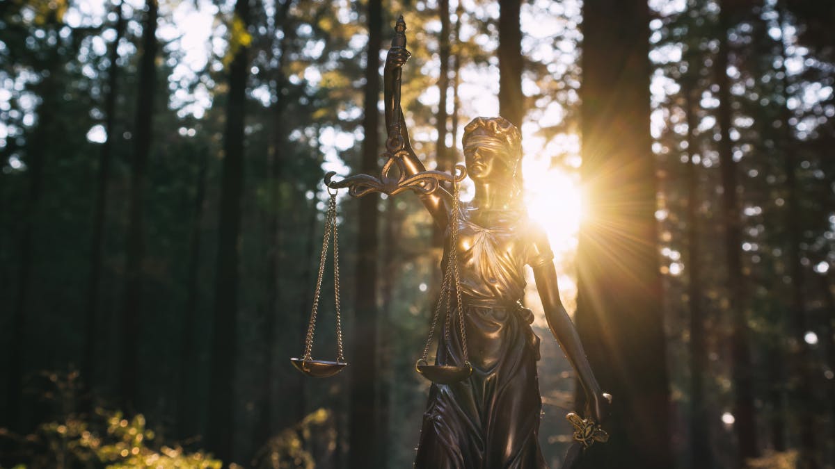 Legal Empowerment