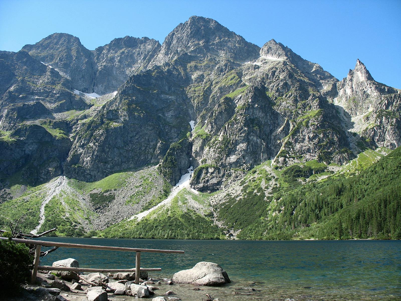 Carpathian Montane Forests
