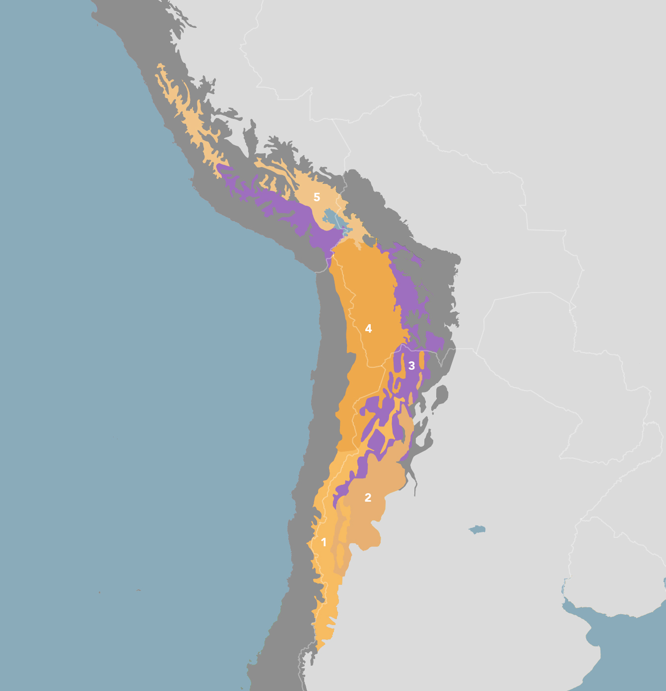 Andean Mountain Grasslands (NT5)