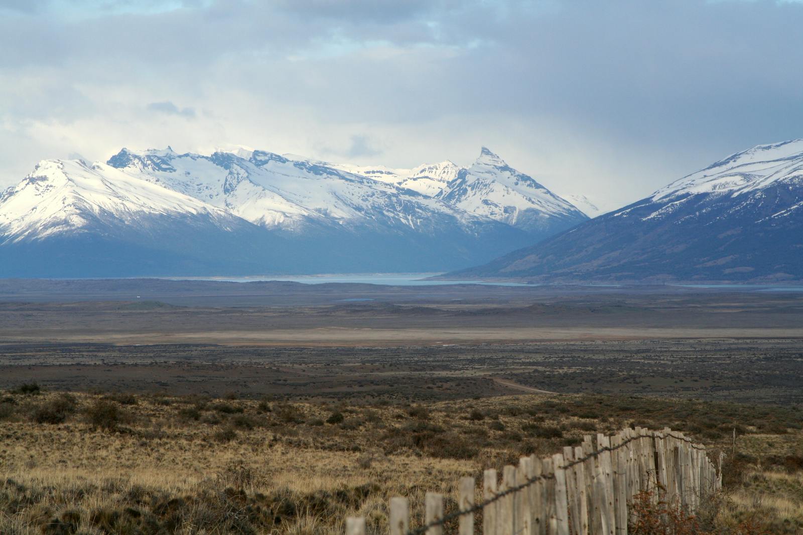 Patagonian Steppe