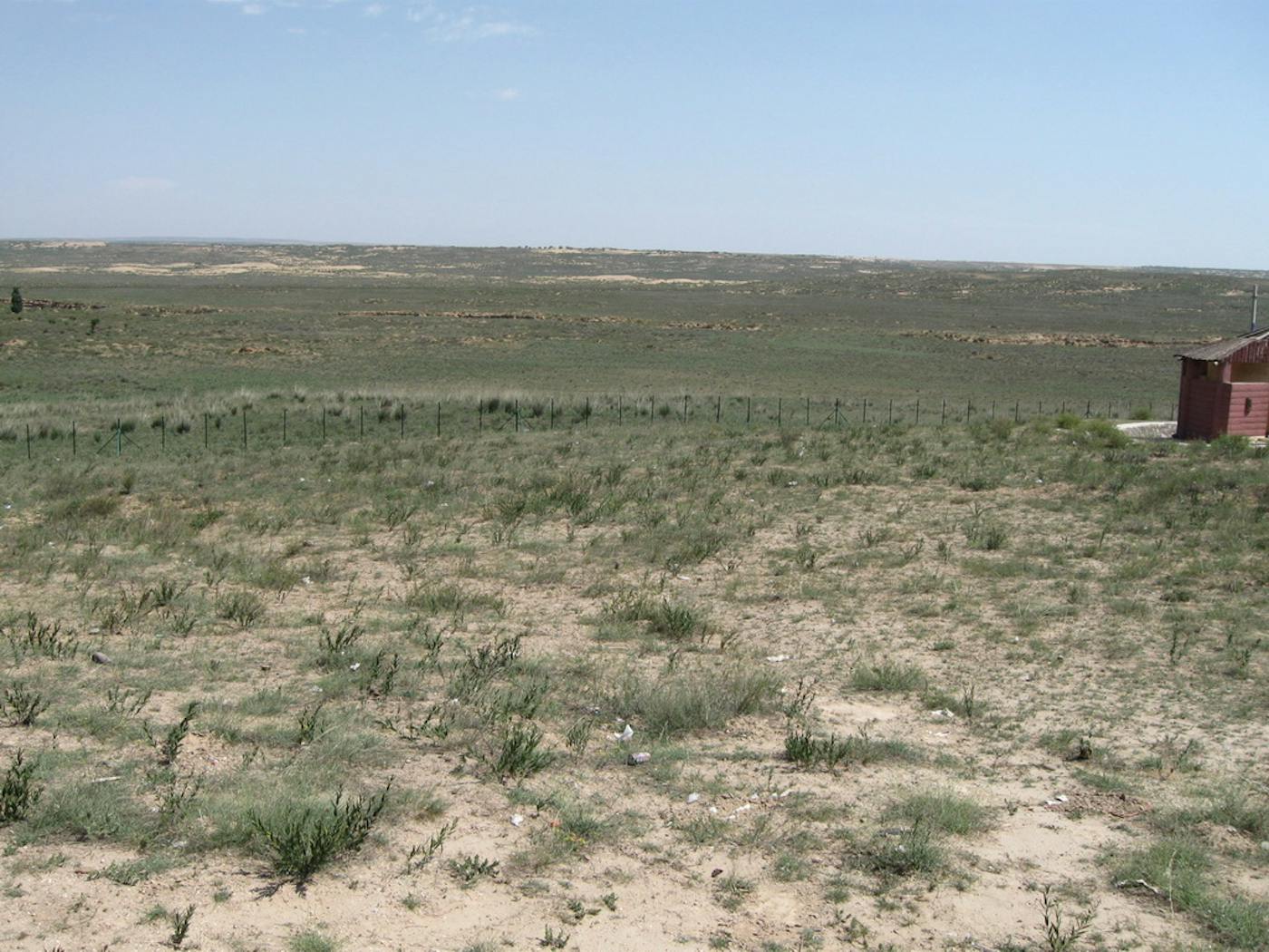 Ordos Plateau Steppe & Mountain Conifer Forests (PA42)