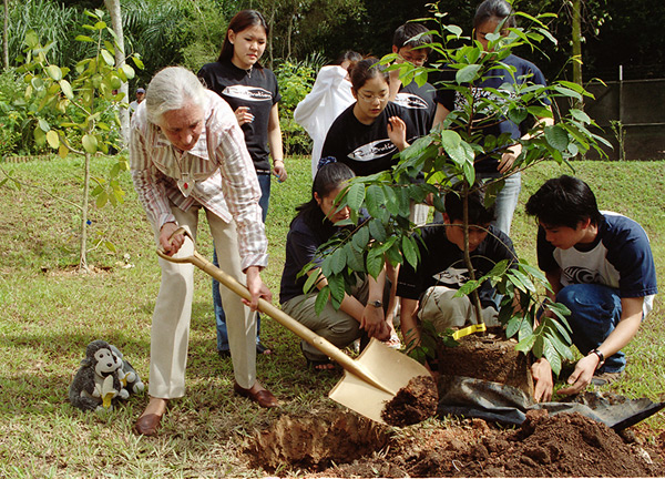 Dr. Jane Goodall and members of Roots & Shoots plant trees in Singapore. © Chris Dickinson, Mongabay.